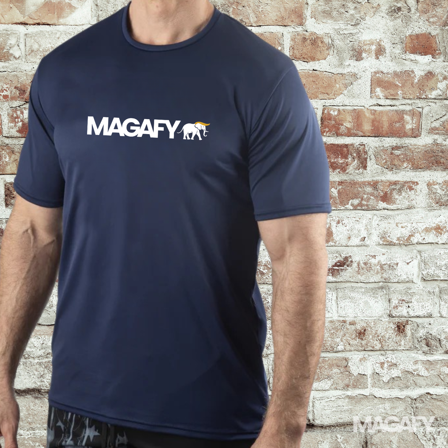 THE PERFORMANCE - MAGAFY